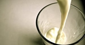 Eşek Sütü Nasıl İçilir?